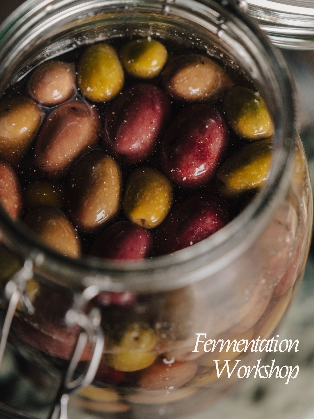 Fermentation Workshop