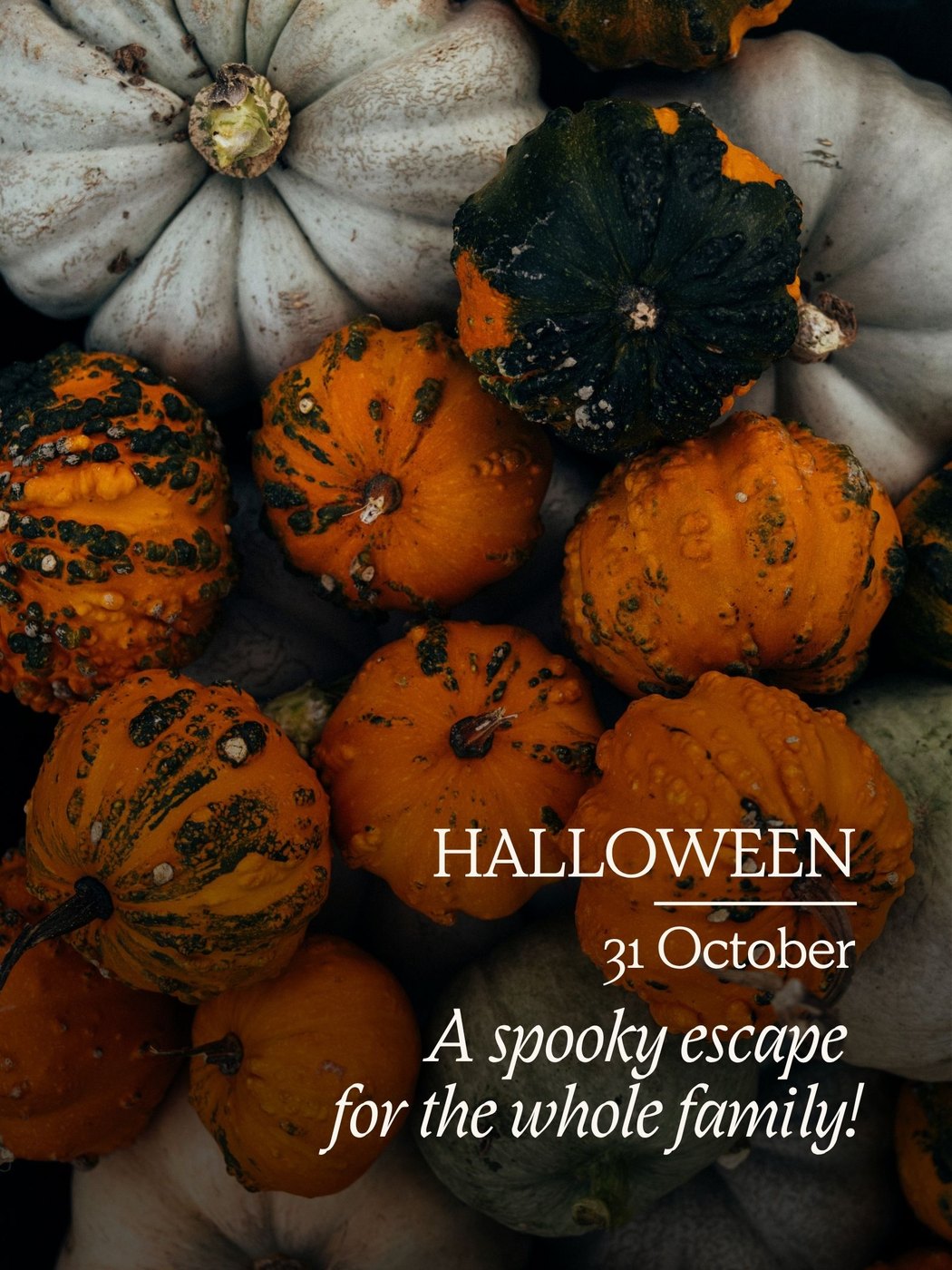 31 Ekim Halloween