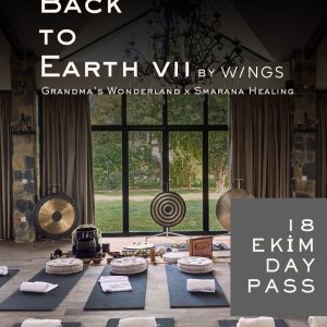 Back to Earth VII 18 Ekim Pazar day-pass